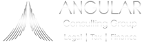 Angular Consulting Group